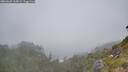 ./images/calvert/foggy-cove/20260622/foggy-cove20260622_115001M.jpg