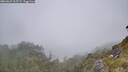 ./images/calvert/foggy-cove/20260622/foggy-cove20260622_115501M.jpg