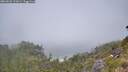 ./images/calvert/foggy-cove/20260622/foggy-cove20260622_121001M.jpg