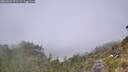 ./images/calvert/foggy-cove/20260622/foggy-cove20260622_121501M.jpg