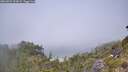 ./images/calvert/foggy-cove/20260622/foggy-cove20260622_122001M.jpg