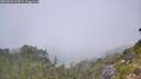 ./images/calvert/foggy-cove/20260622/foggy-cove20260622_123001M.jpg