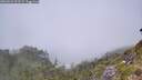 ./images/calvert/foggy-cove/20260622/foggy-cove20260622_123502M.jpg