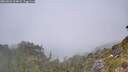./images/calvert/foggy-cove/20260622/foggy-cove20260622_124001M.jpg