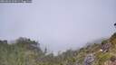 ./images/calvert/foggy-cove/20260622/foggy-cove20260622_124501M.jpg