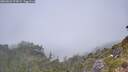 ./images/calvert/foggy-cove/20260622/foggy-cove20260622_125002M.jpg