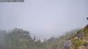 ./images/calvert/foggy-cove/20260622/foggy-cove20260622_125501M.jpg