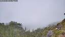 ./images/calvert/foggy-cove/20260622/foggy-cove20260622_130501M.jpg