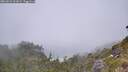 ./images/calvert/foggy-cove/20260622/foggy-cove20260622_131001M.jpg