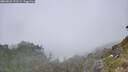./images/calvert/foggy-cove/20260622/foggy-cove20260622_131501M.jpg