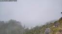 ./images/calvert/foggy-cove/20260622/foggy-cove20260622_132001M.jpg