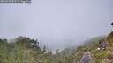 ./images/calvert/foggy-cove/20260622/foggy-cove20260622_132501M.jpg