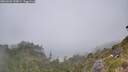 ./images/calvert/foggy-cove/20260622/foggy-cove20260622_133001M.jpg