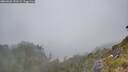 ./images/calvert/foggy-cove/20260622/foggy-cove20260622_133502M.jpg