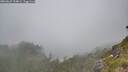 ./images/calvert/foggy-cove/20260622/foggy-cove20260622_134001M.jpg