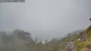 ./images/calvert/foggy-cove/20260622/foggy-cove20260622_134501M.jpg