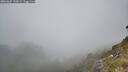./images/calvert/foggy-cove/20260622/foggy-cove20260622_135001M.jpg