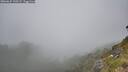 ./images/calvert/foggy-cove/20260622/foggy-cove20260622_135501M.jpg