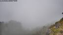 ./images/calvert/foggy-cove/20260622/foggy-cove20260622_140002M.jpg