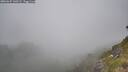 ./images/calvert/foggy-cove/20260622/foggy-cove20260622_140501M.jpg