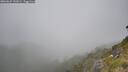 ./images/calvert/foggy-cove/20260622/foggy-cove20260622_141001M.jpg