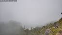 ./images/calvert/foggy-cove/20260622/foggy-cove20260622_141502M.jpg