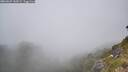 ./images/calvert/foggy-cove/20260622/foggy-cove20260622_142001M.jpg