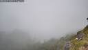 ./images/calvert/foggy-cove/20260622/foggy-cove20260622_142501M.jpg