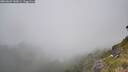 ./images/calvert/foggy-cove/20260622/foggy-cove20260622_143001M.jpg