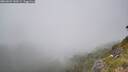 ./images/calvert/foggy-cove/20260622/foggy-cove20260622_143501M.jpg
