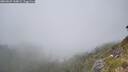 ./images/calvert/foggy-cove/20260622/foggy-cove20260622_144001M.jpg