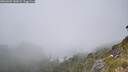 ./images/calvert/foggy-cove/20260622/foggy-cove20260622_144501M.jpg