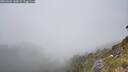 ./images/calvert/foggy-cove/20260622/foggy-cove20260622_145001M.jpg
