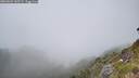 ./images/calvert/foggy-cove/20260622/foggy-cove20260622_145501M.jpg
