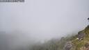 ./images/calvert/foggy-cove/20260622/foggy-cove20260622_150001M.jpg