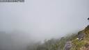 ./images/calvert/foggy-cove/20260622/foggy-cove20260622_150501M.jpg
