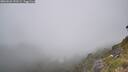 ./images/calvert/foggy-cove/20260622/foggy-cove20260622_151501M.jpg