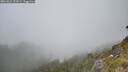 ./images/calvert/foggy-cove/20260622/foggy-cove20260622_152001M.jpg