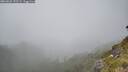 ./images/calvert/foggy-cove/20260622/foggy-cove20260622_152501M.jpg