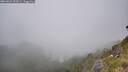 ./images/calvert/foggy-cove/20260622/foggy-cove20260622_153001M.jpg