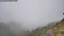 ./images/calvert/foggy-cove/20260622/foggy-cove20260622_153501M.jpg