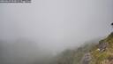 ./images/calvert/foggy-cove/20260622/foggy-cove20260622_154501M.jpg