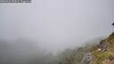 ./images/calvert/foggy-cove/20260622/foggy-cove20260622_155001M.jpg