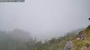 ./images/calvert/foggy-cove/20260622/foggy-cove20260622_155501M.jpg