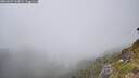 ./images/calvert/foggy-cove/20260622/foggy-cove20260622_160001M.jpg