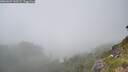 ./images/calvert/foggy-cove/20260622/foggy-cove20260622_160502M.jpg