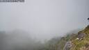 ./images/calvert/foggy-cove/20260622/foggy-cove20260622_161501M.jpg