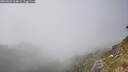 ./images/calvert/foggy-cove/20260622/foggy-cove20260622_164001M.jpg
