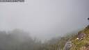 ./images/calvert/foggy-cove/20260622/foggy-cove20260622_164501M.jpg
