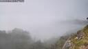 ./images/calvert/foggy-cove/20260622/foggy-cove20260622_170002M.jpg